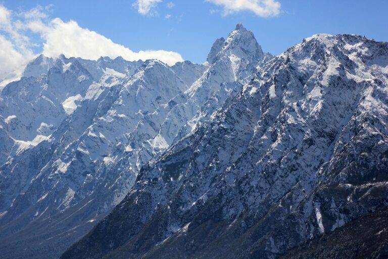 Exploring the Influence of Social Class on Voting Behavior