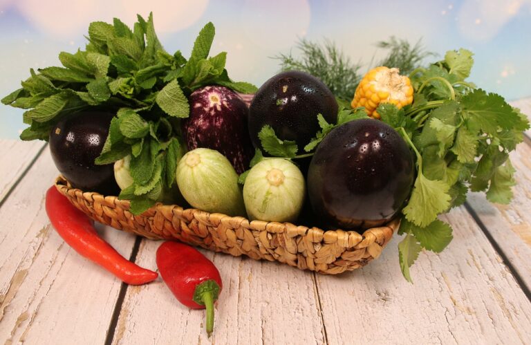 The Role of Technology in Postoperative Care