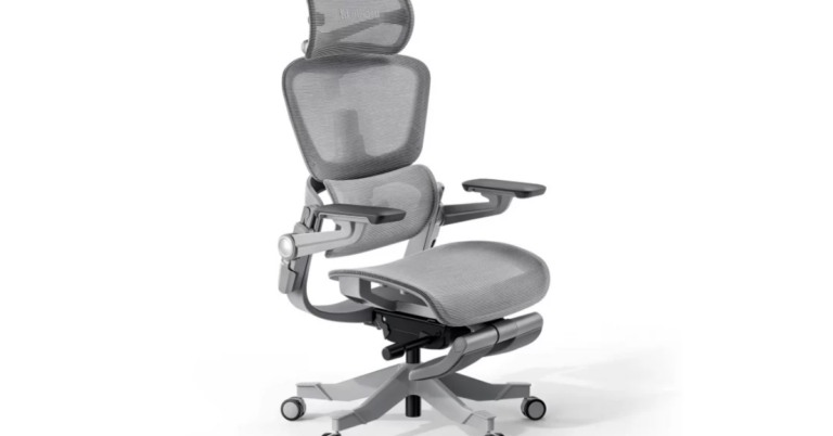 Hinomi Chair Review: A Premium Ergonomic Seating Experience