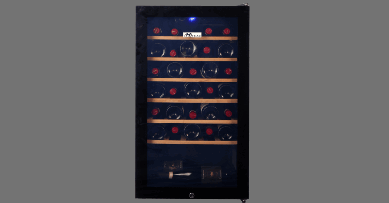 Elevate Your Wine Experience: The Ultimate Guide to Choosing the Perfect Wine Fridge