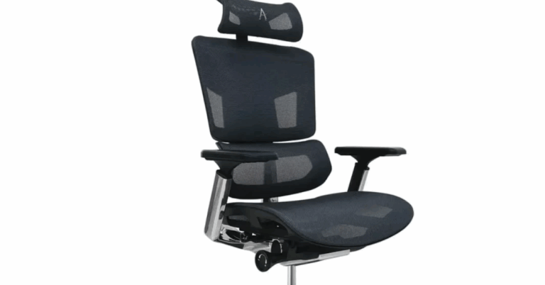Hinomi X1 Ergonomic Office Chair Review: Premium Comfort and Support