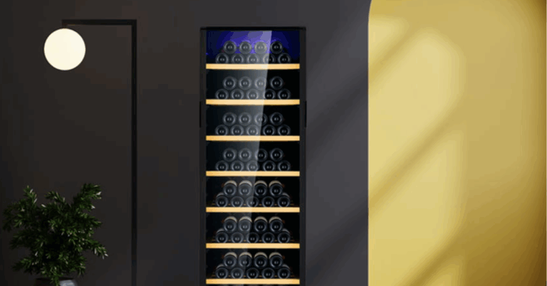 The Essential Role of a Wine Cooler: Elevating Wine Preservation and Enjoyment